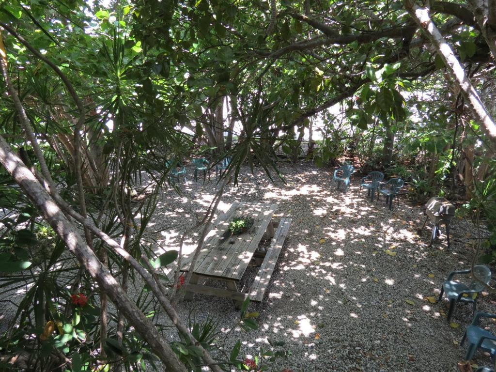 Ed & Ellen'S Lodgings Key Largoモーテル 部屋 写真